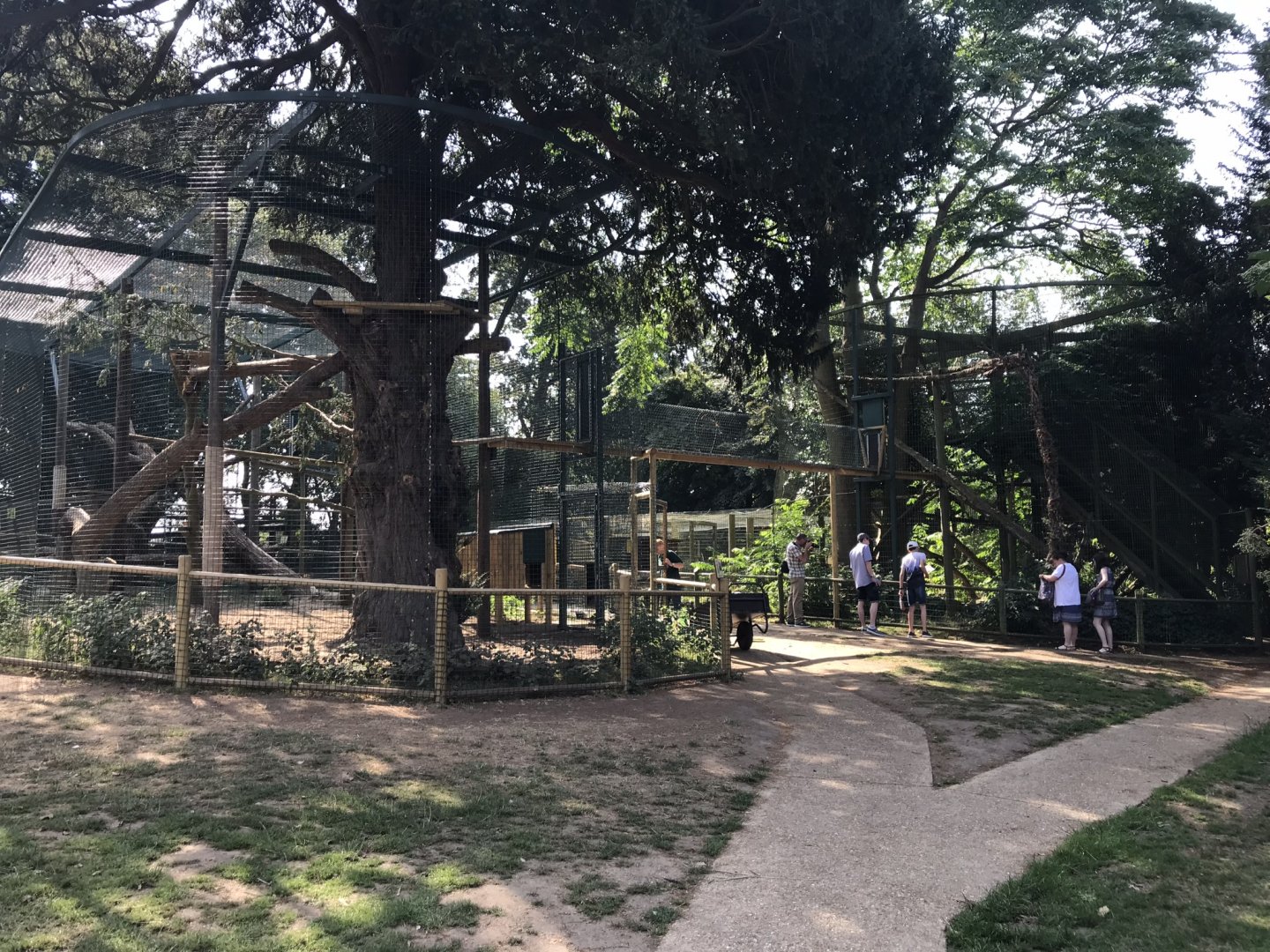 Amur leopard enclosures 070818