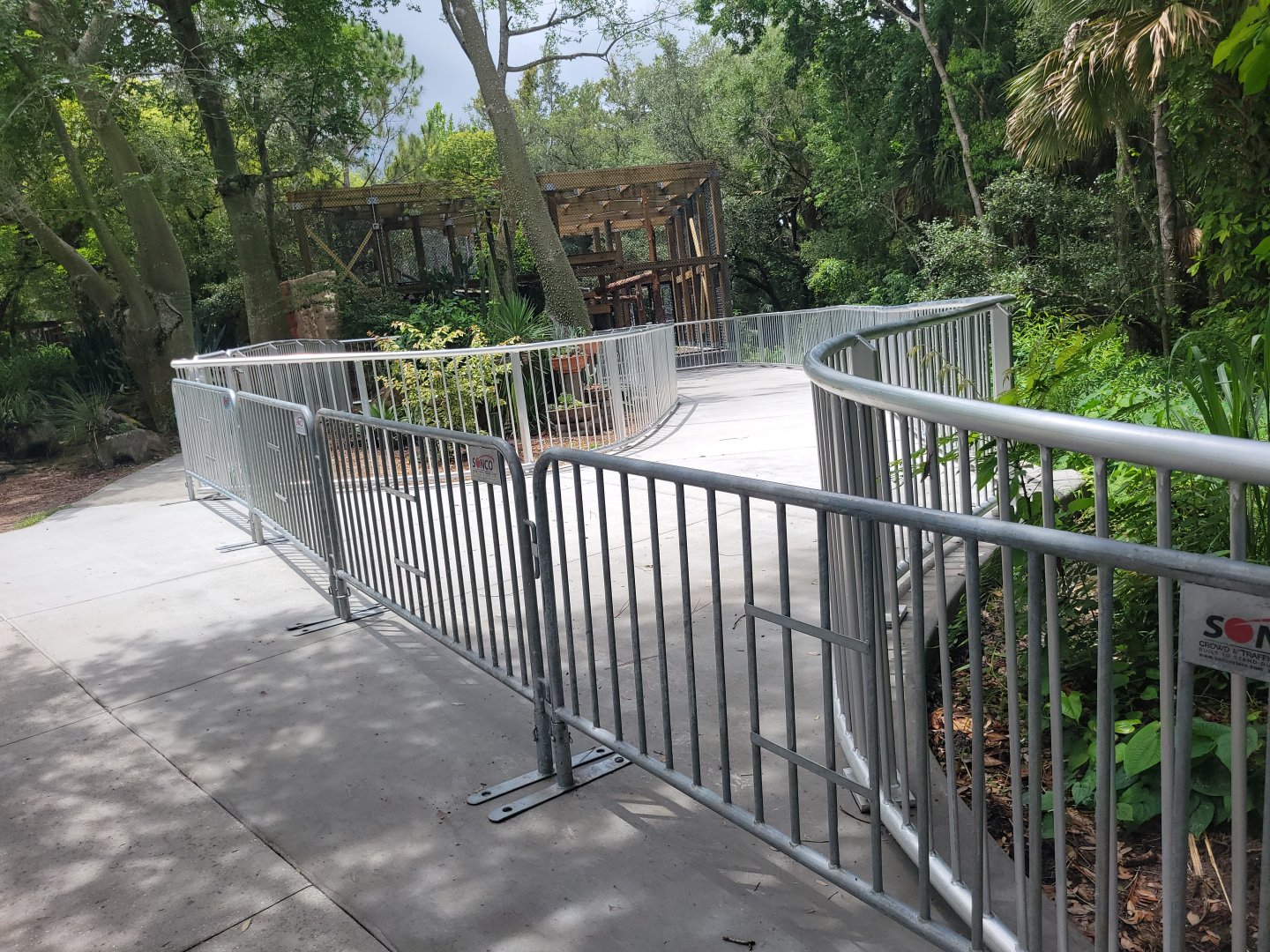 Amur Leopard Exhibit About Finished