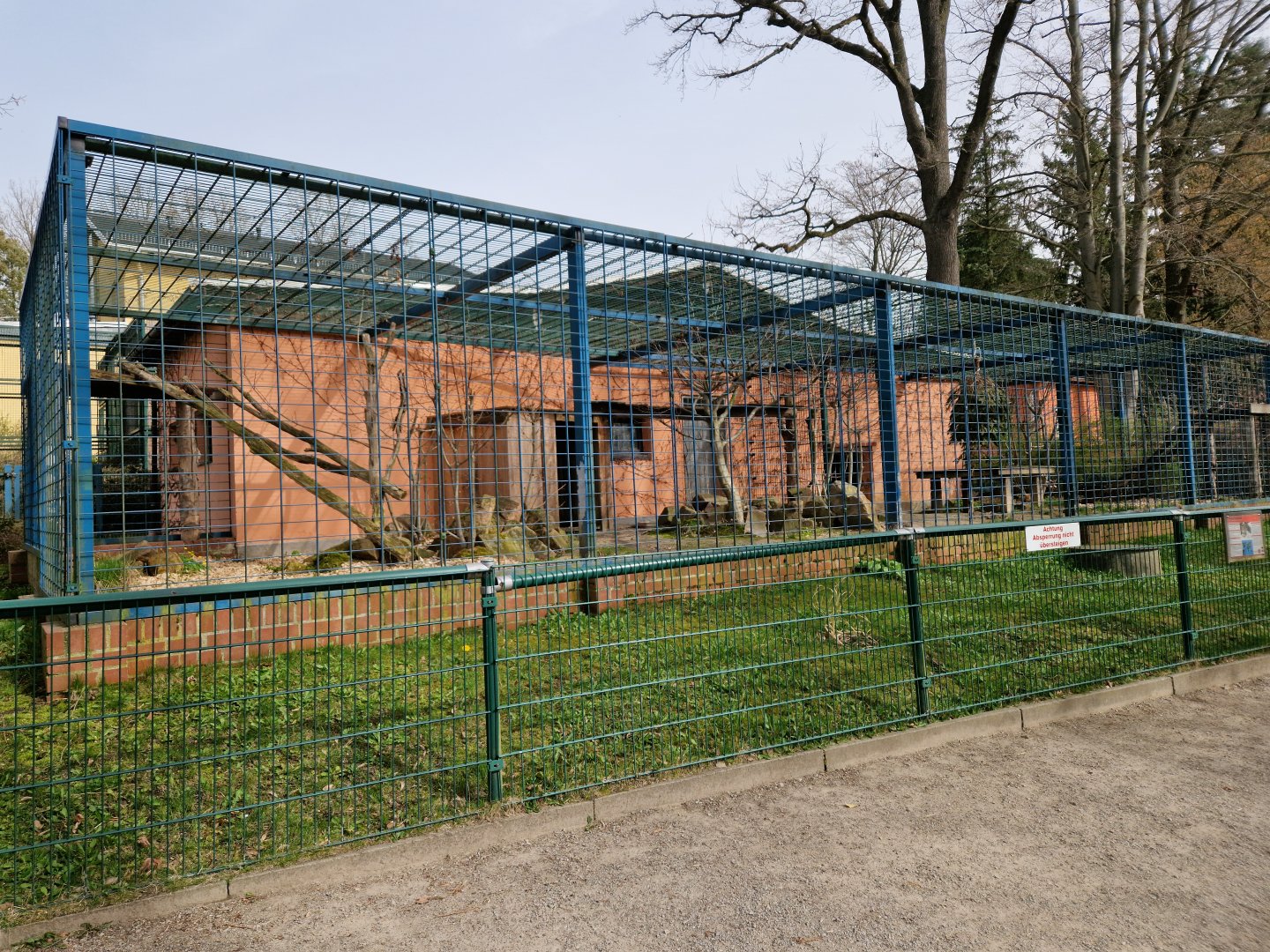 Amur Leopard exhibit, Limbach-Oberfrohna
