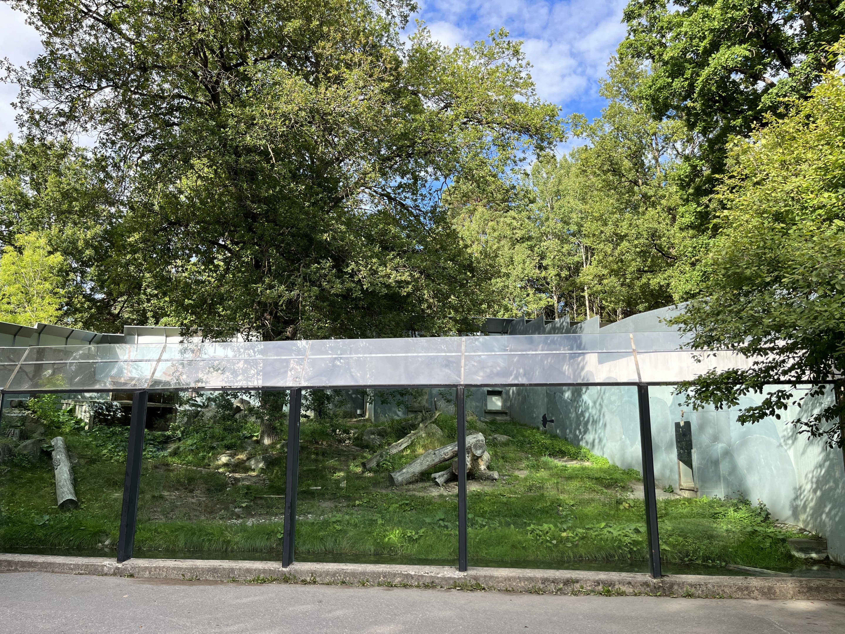 Amur Leopard Exhibit (second half)