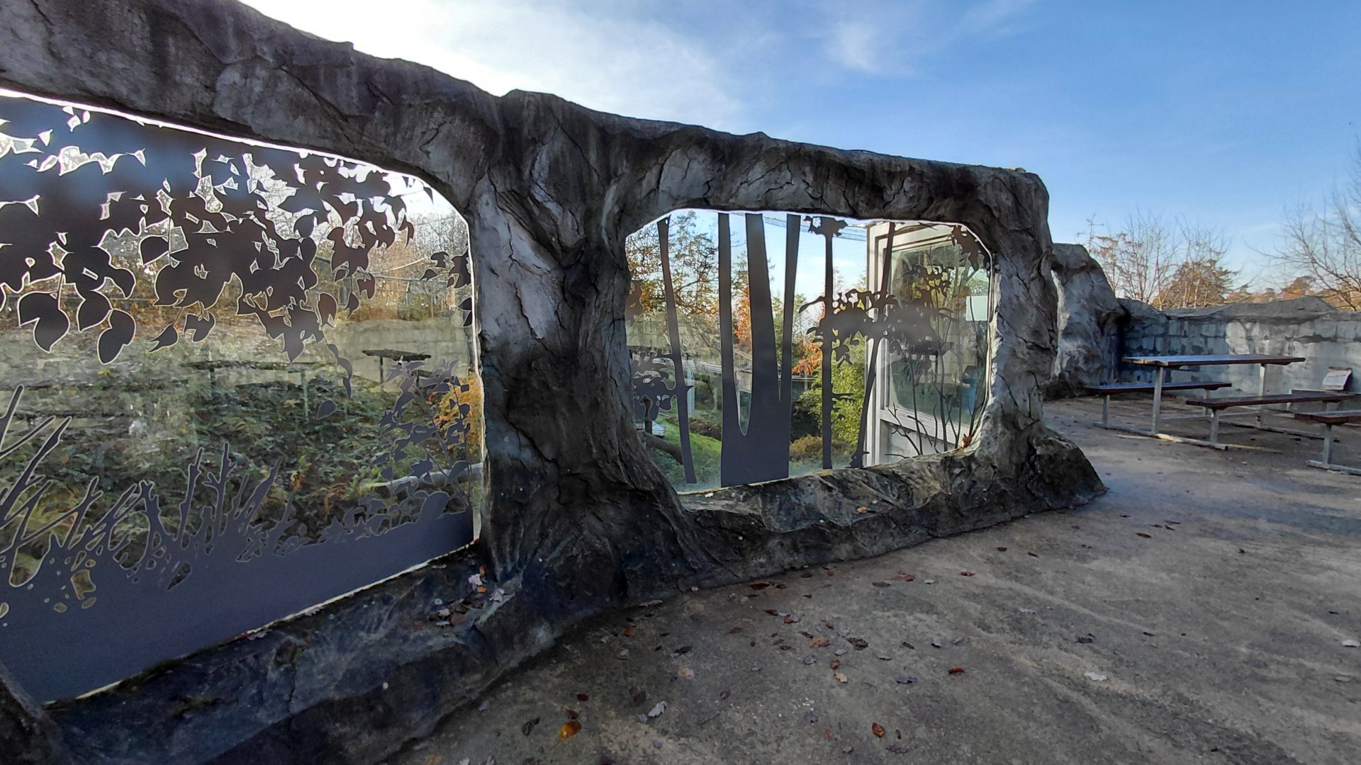 Amur leopard exhibit - viewing area