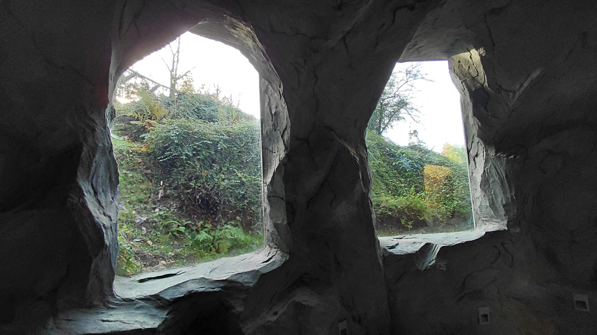 Amur leopard exhibit - viewing area