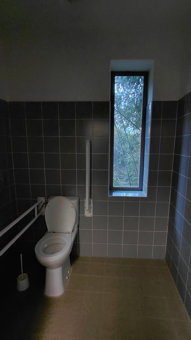 Amur leopard exhibit - viewing area