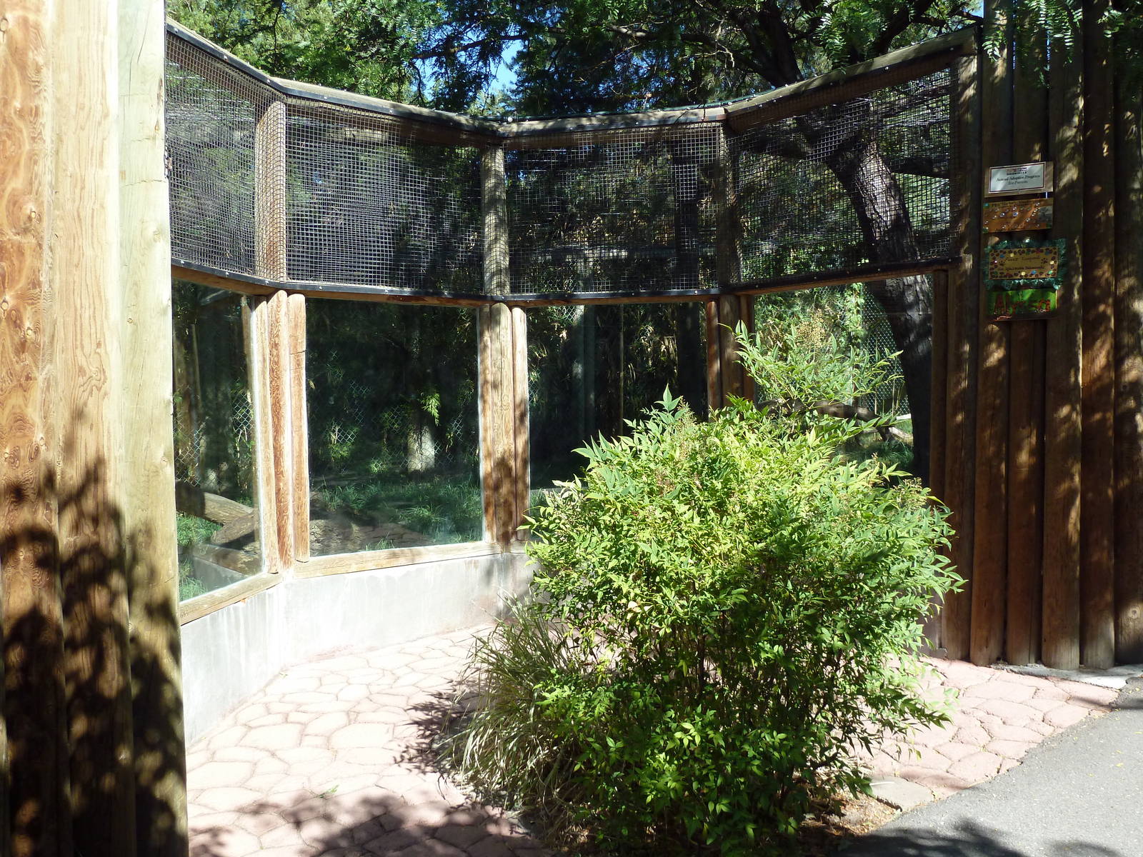 Amur Leopard Exhibit