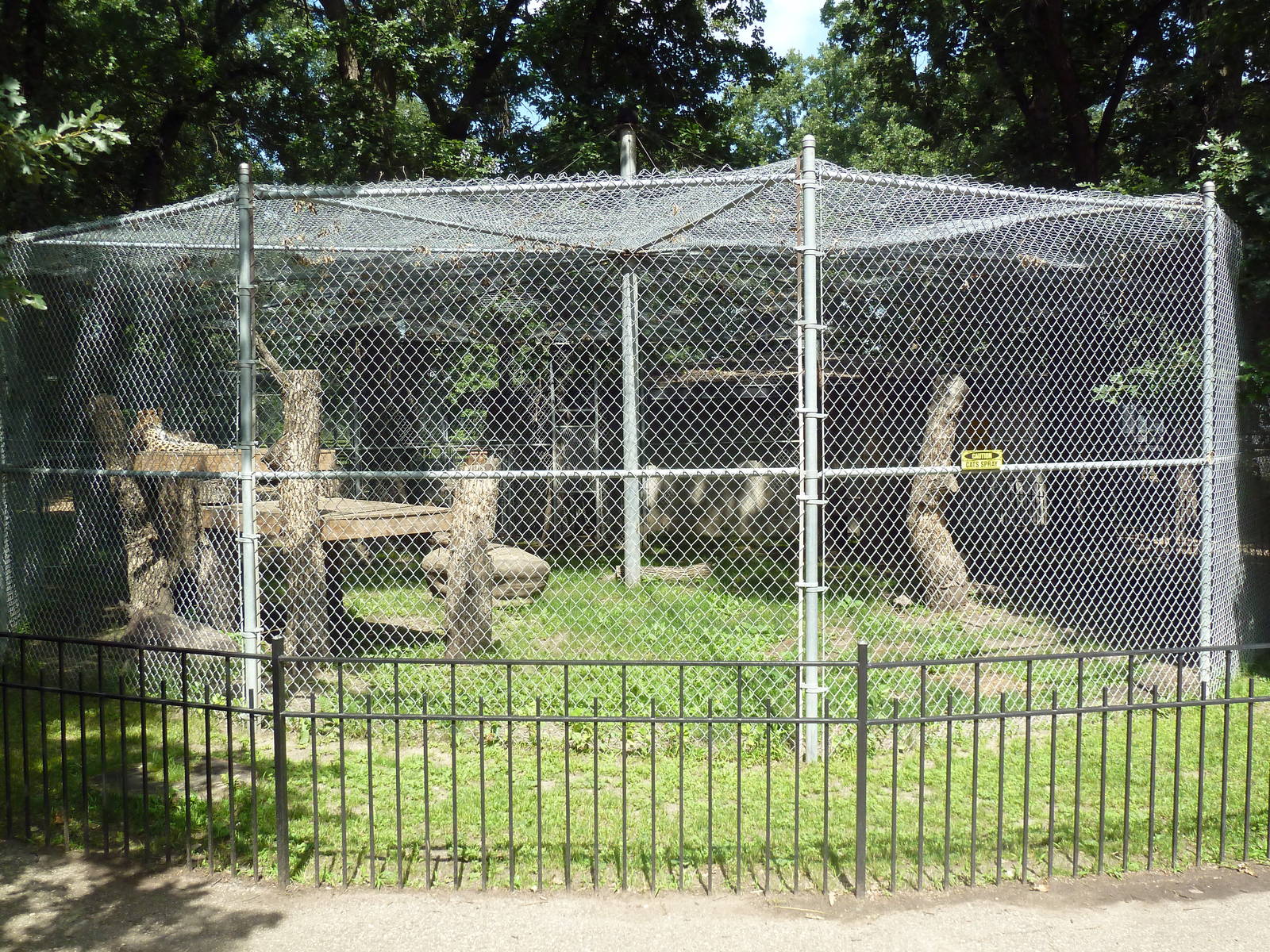 Amur Leopard Exhibit