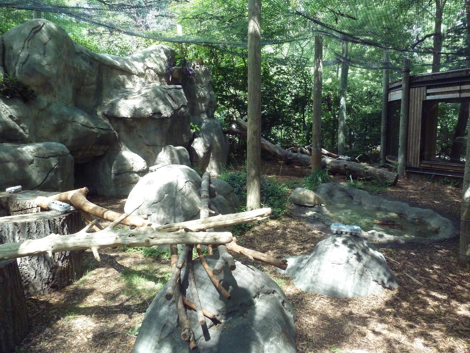 Amur Leopard Exhibit