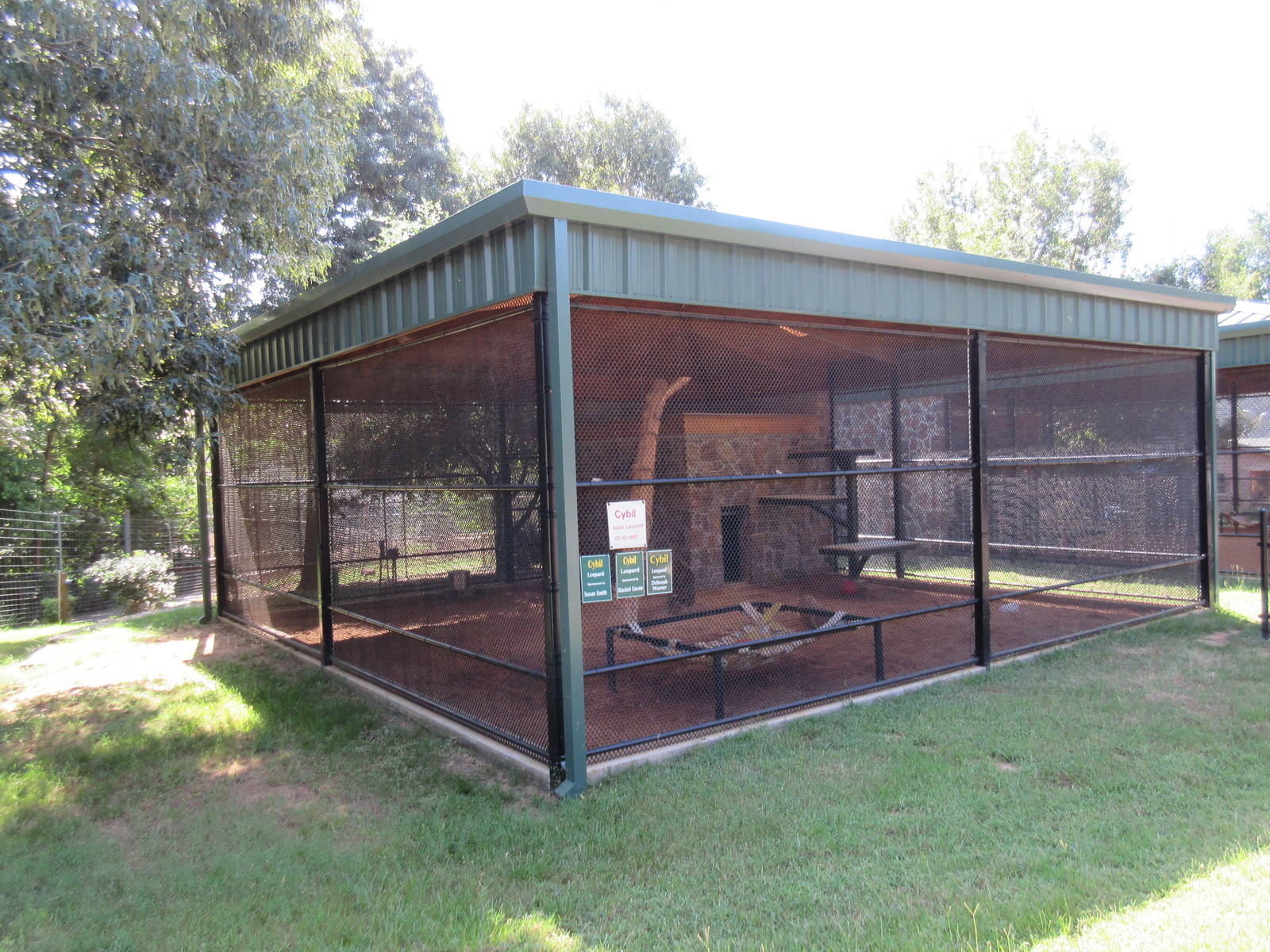Amur Leopard Exhibit