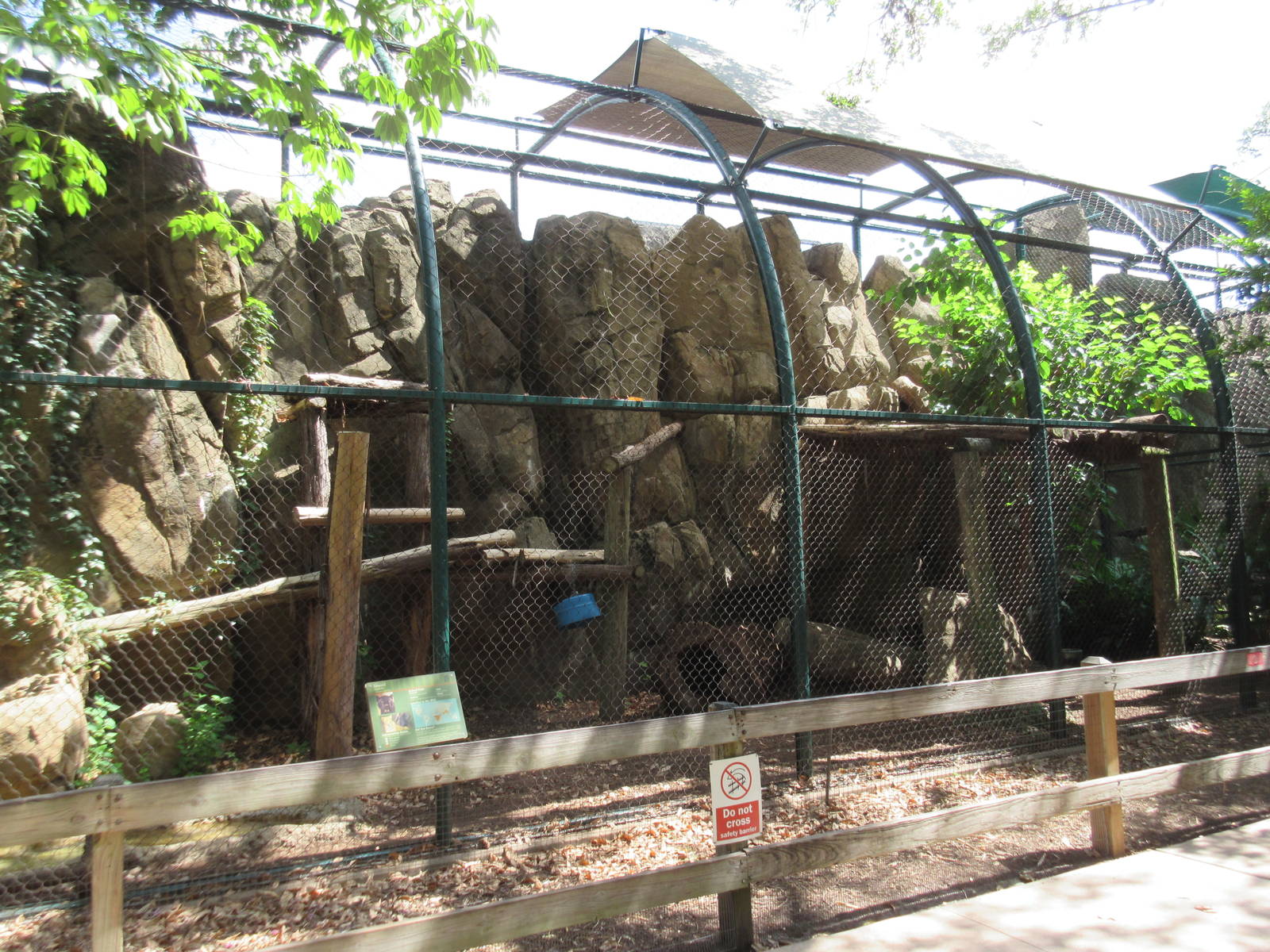 Amur Leopard Exhibit