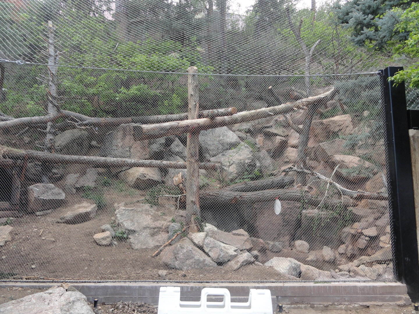 Amur Leopard Exhibit