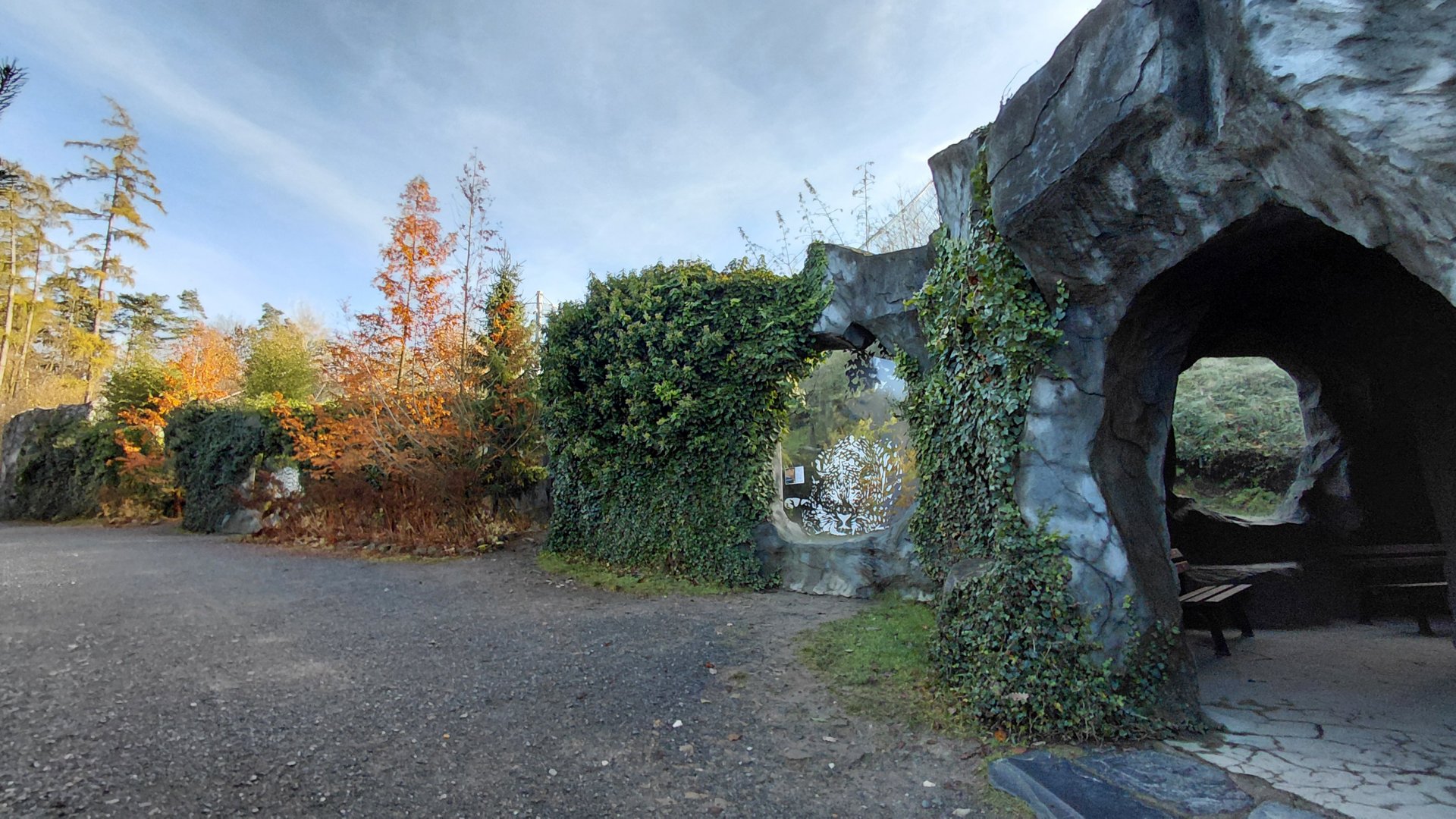 Amur leopard exhibit
