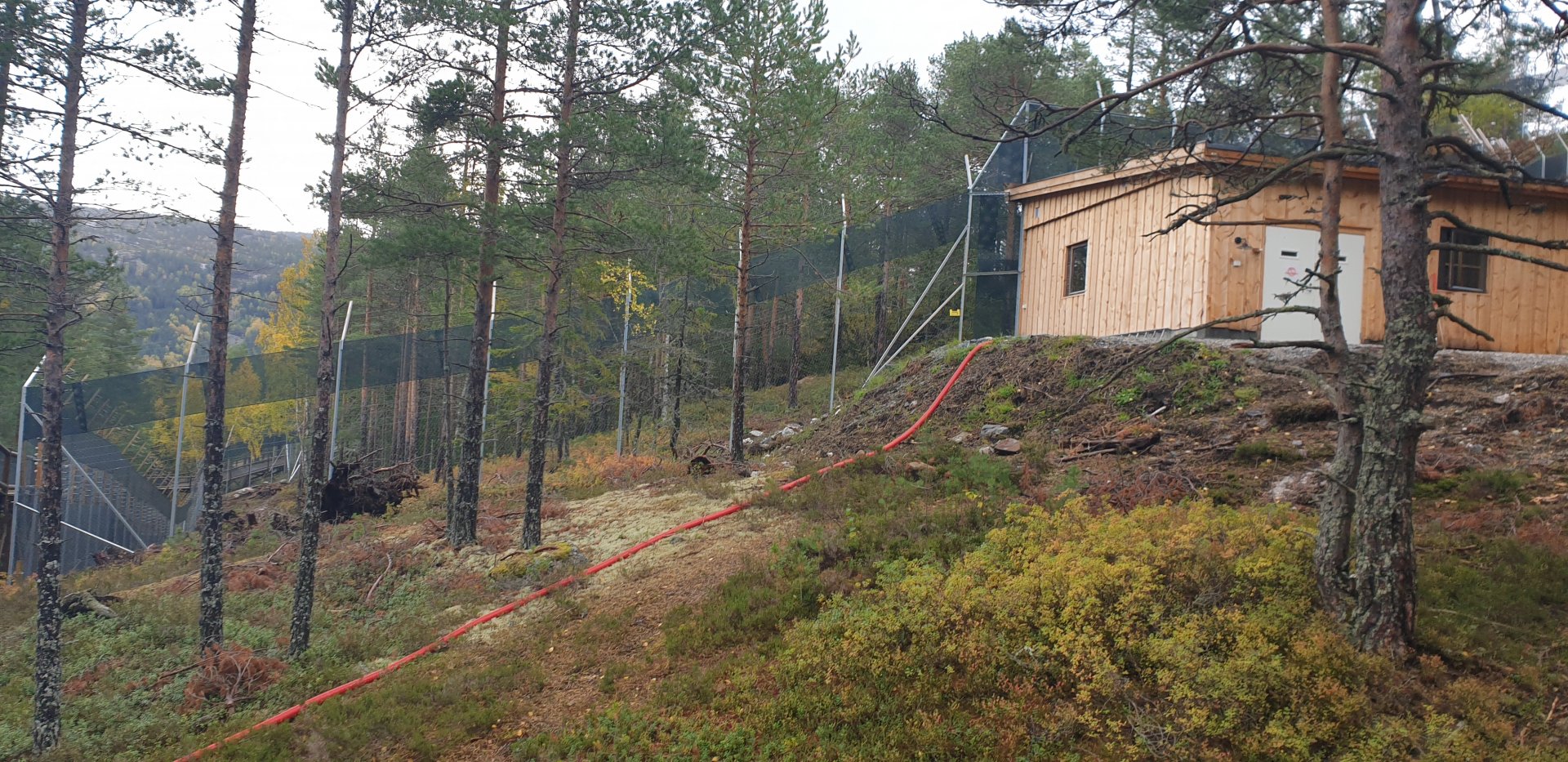 Amur Leopard facility