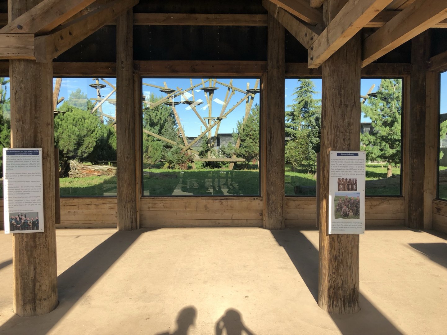 Amur Leopard Glass Viewing Area at Yorkshire Wildlife Park (October 2021)