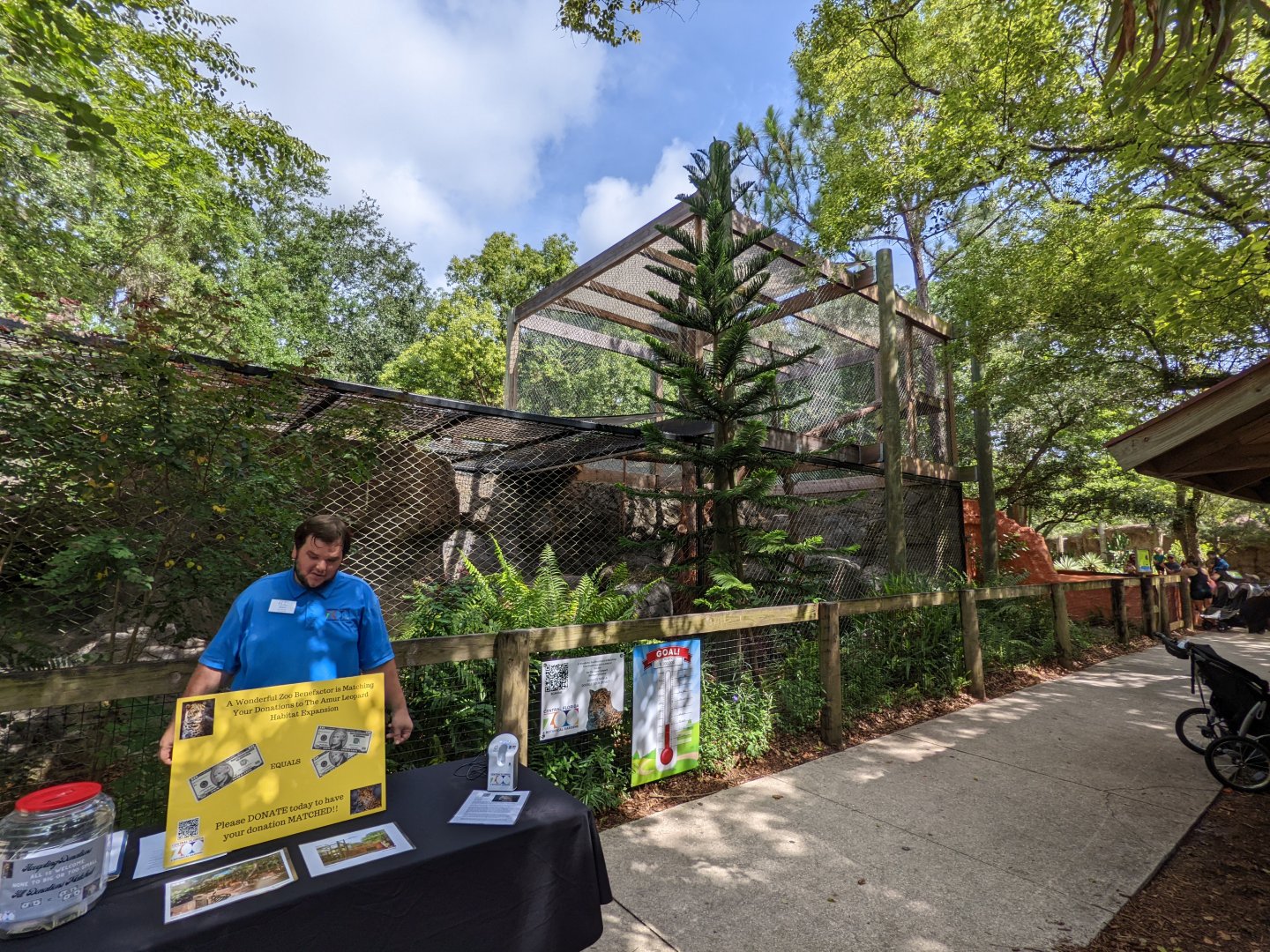 Amur leopard habitat