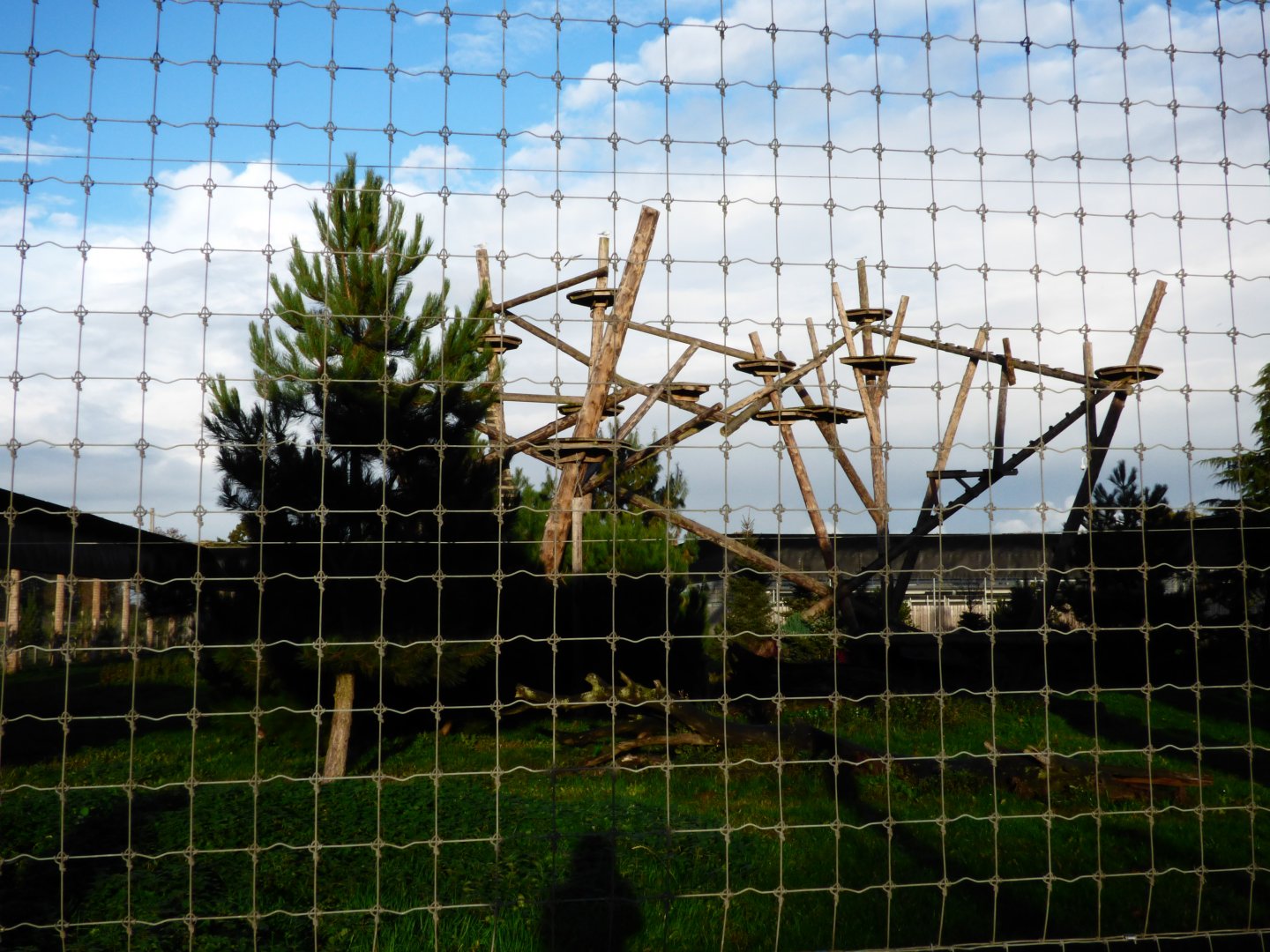 Amur Leopard Heights