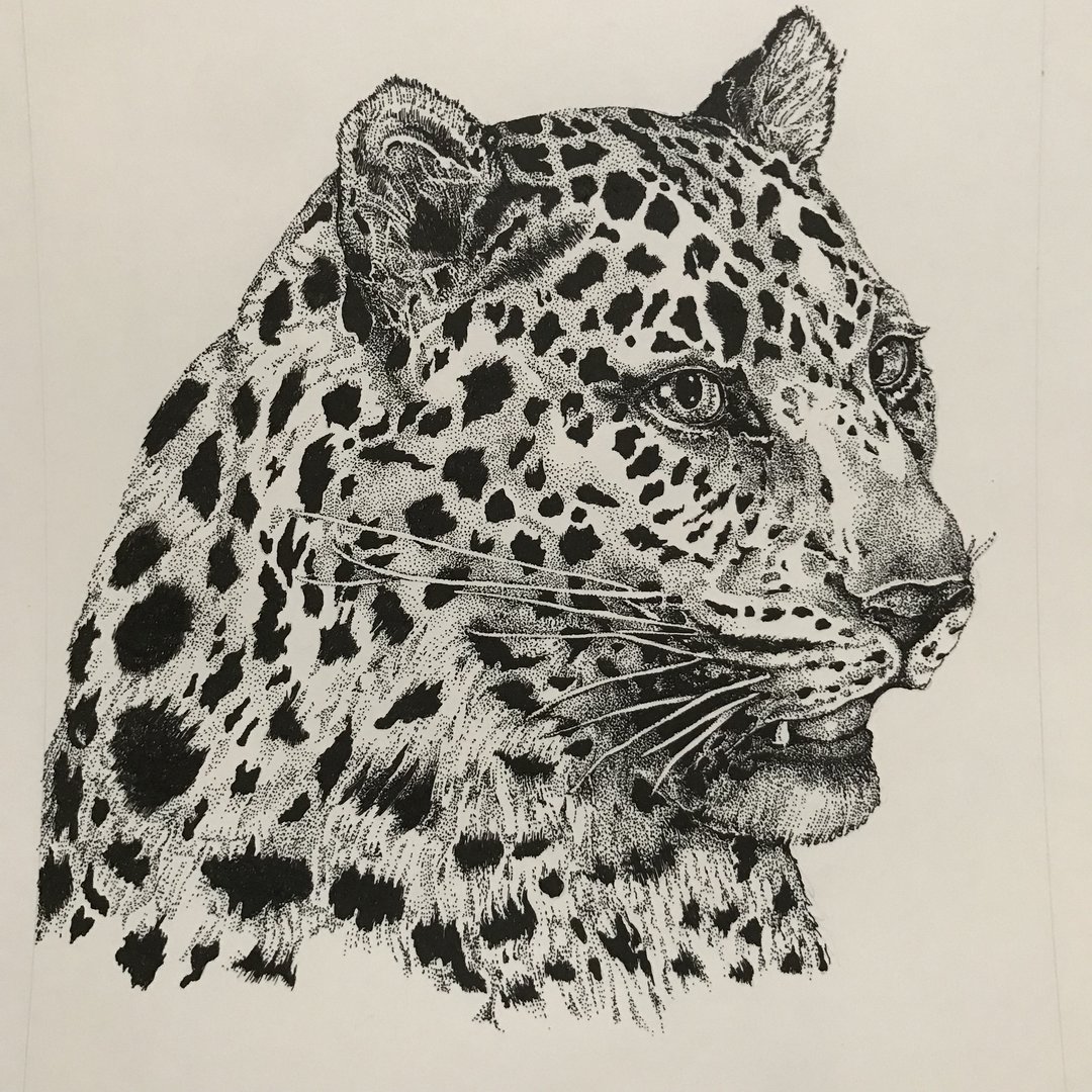 Amur Leopard Portrait