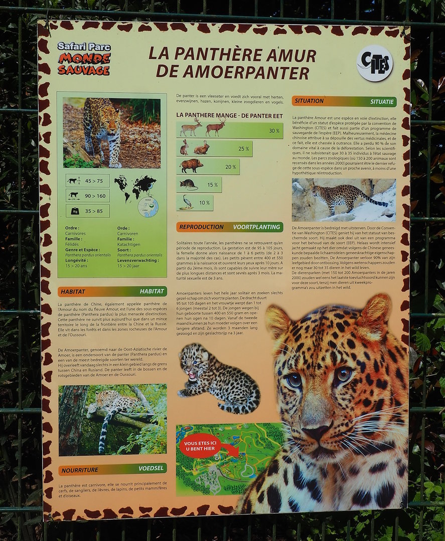 Amur leopard signage, 2023-05-19