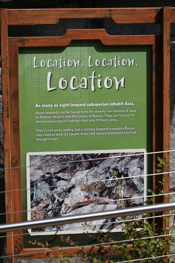 Amur leopard signage