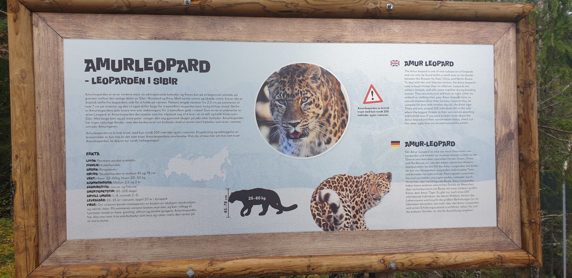Amur Leopard signage
