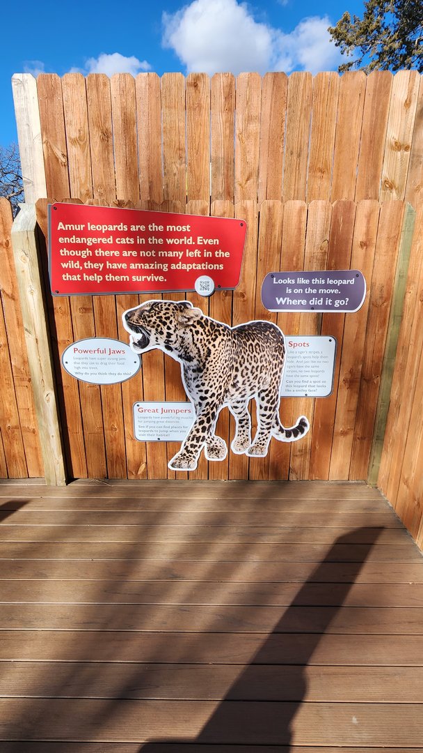 Amur Leopard Signage