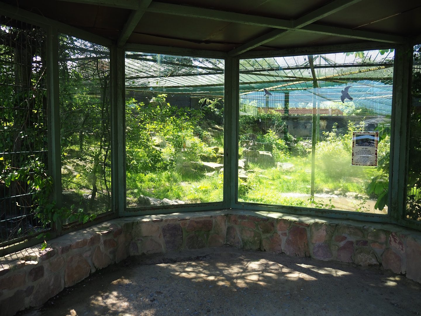 Amur leopard viewing area, 2023-05-19