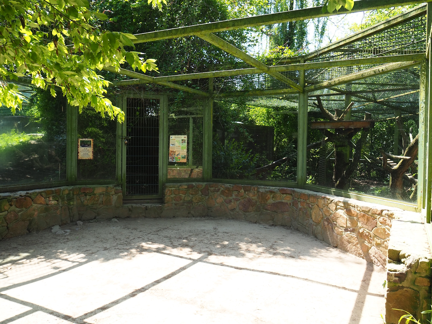 Amur leopard viewing area, 2023-05-19