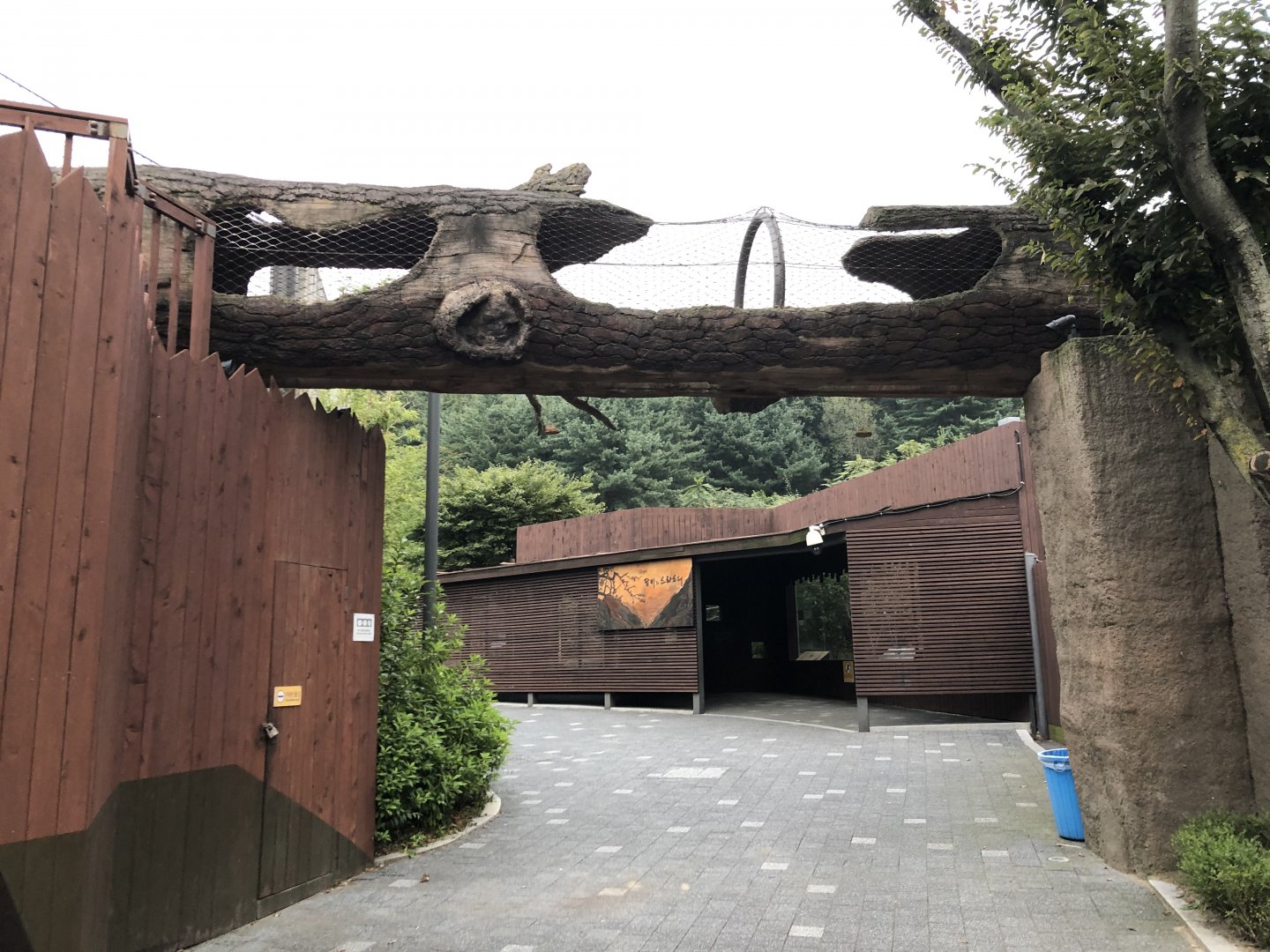 Amur Leopard Walkway