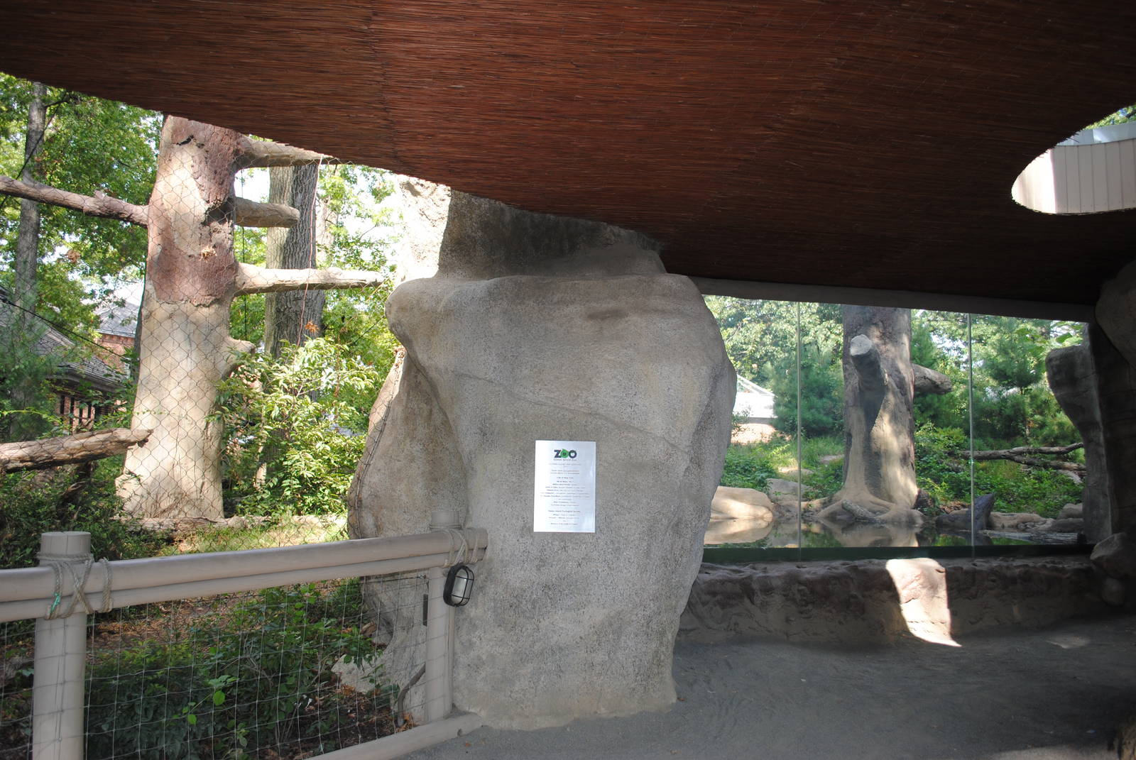 Amur Leopards exhibit (main viewing area)