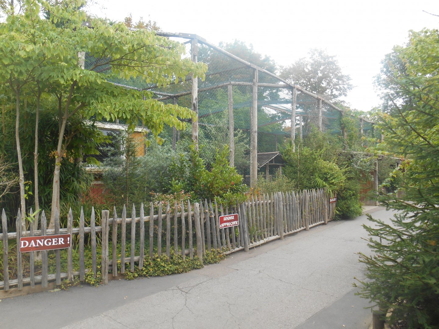 Amur Leopards Exhibit