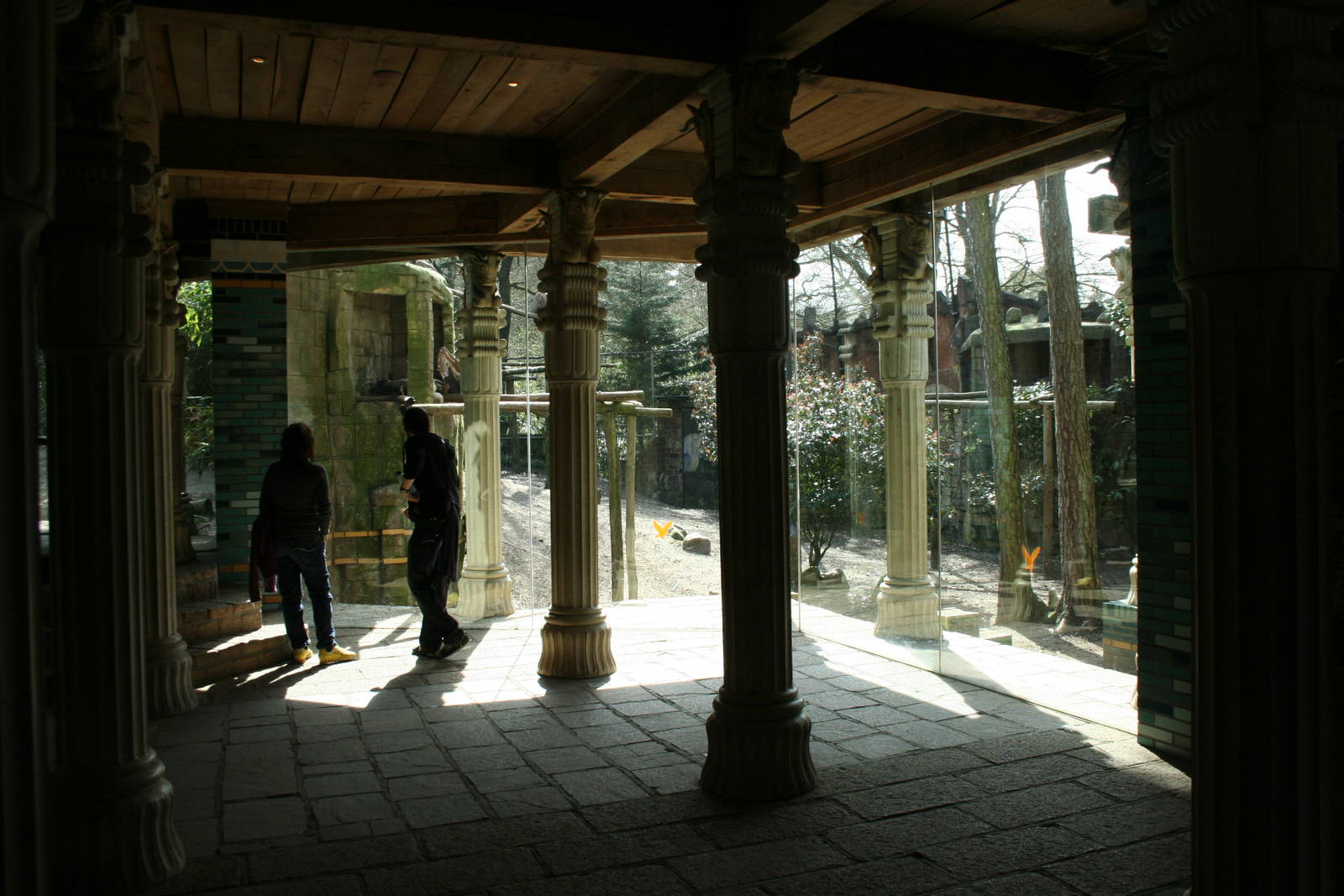 amur tiger (amersfoortzoo)