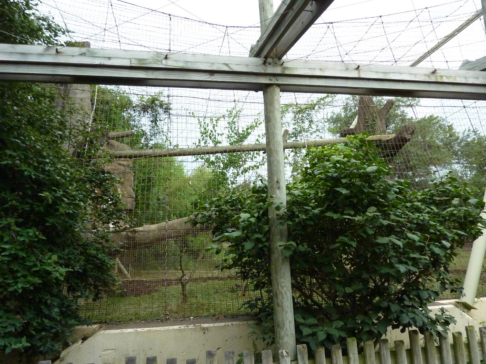 Amur Tiger Cage