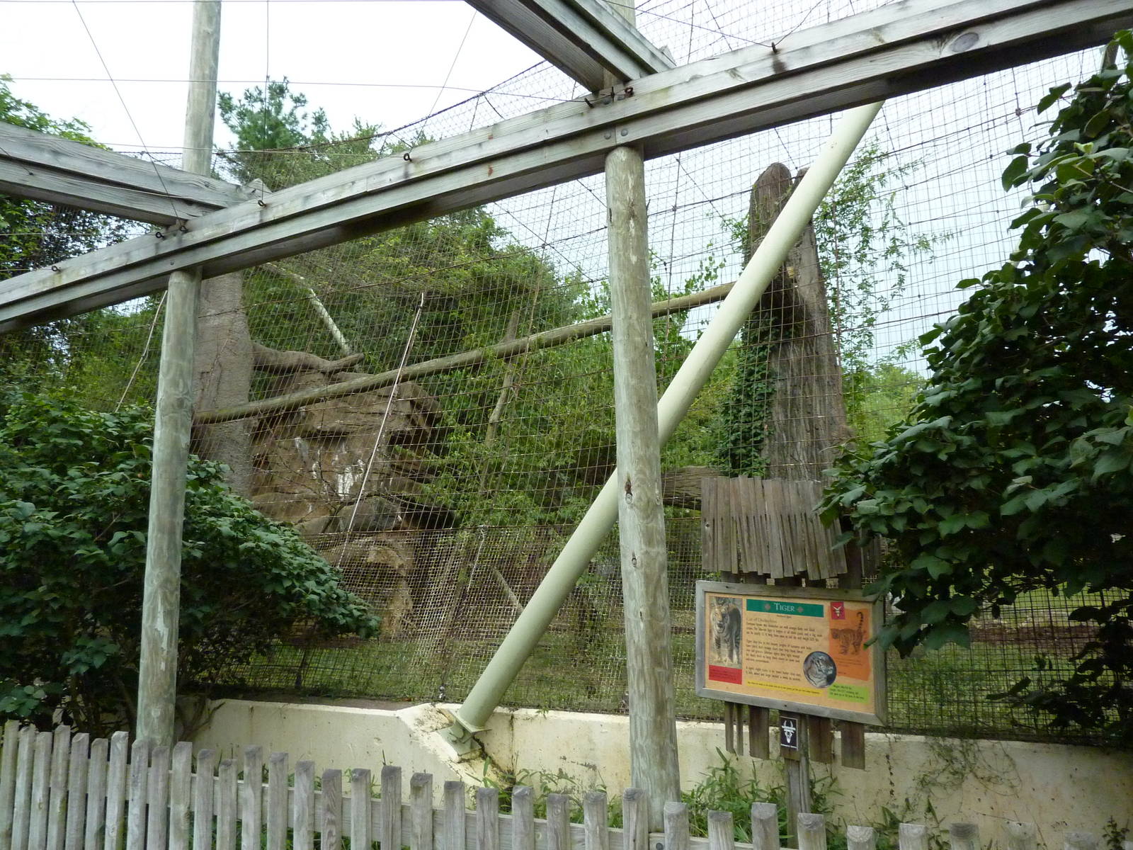 Amur Tiger Cage