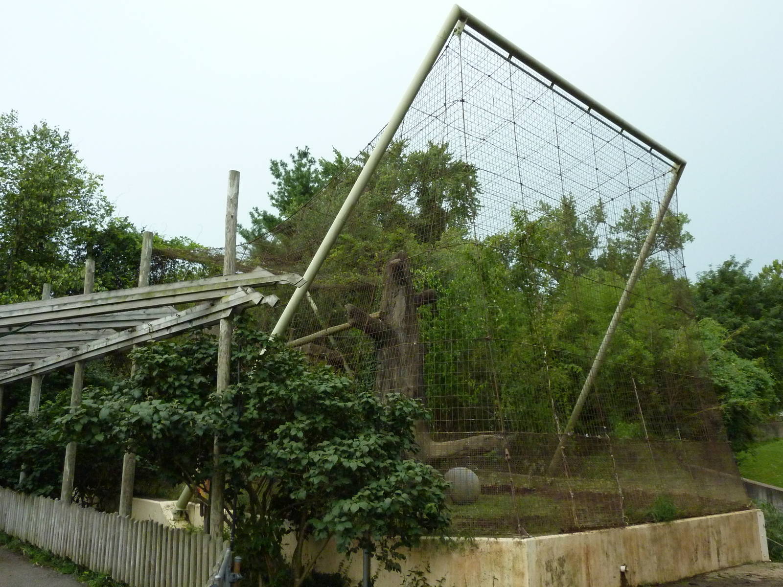 Amur Tiger Cage
