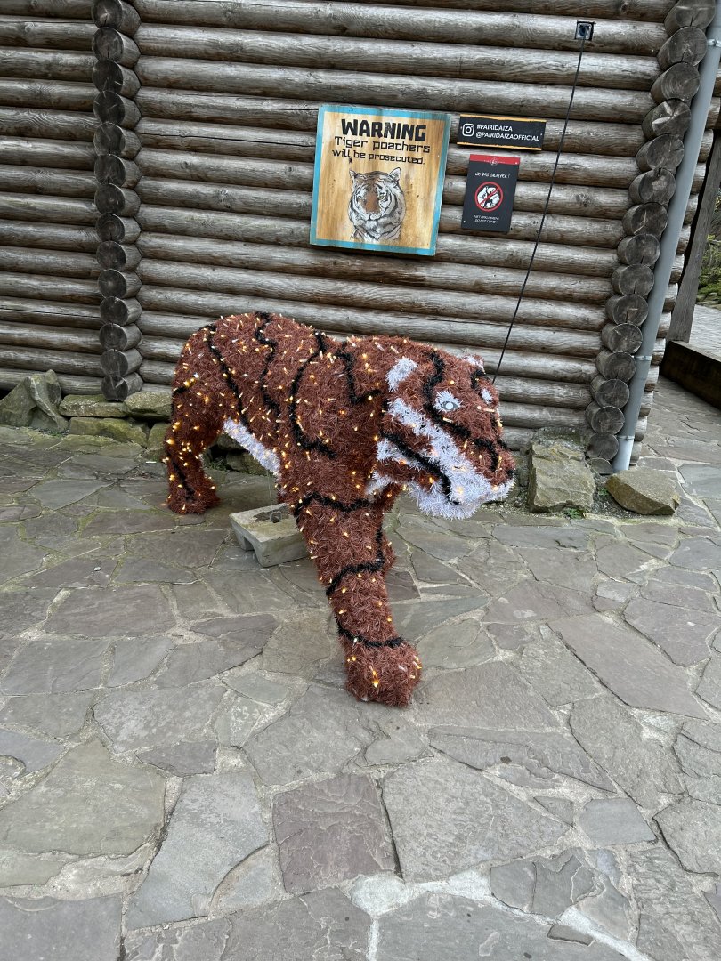 Amur tiger Christmas animal