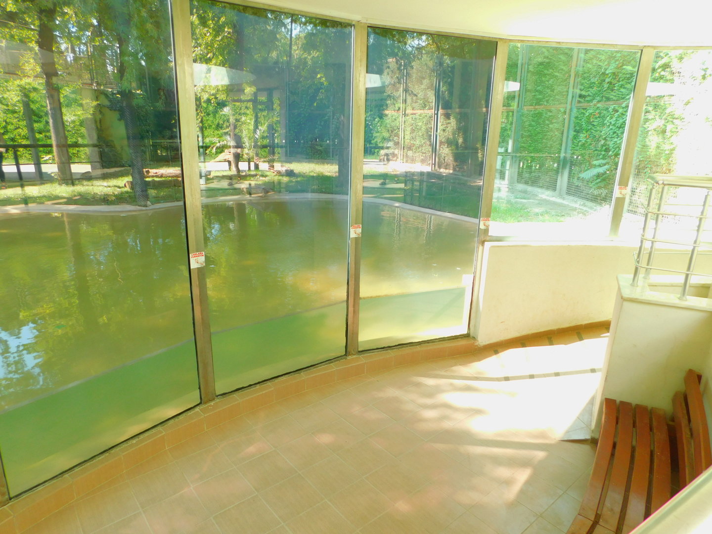 Amur Tiger Display Building