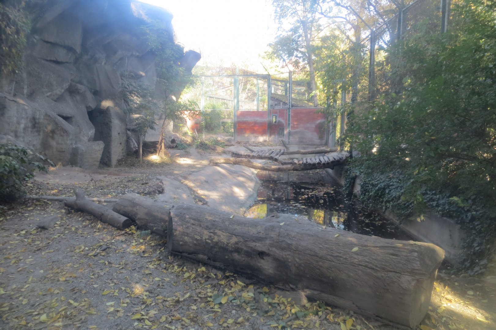 Amur tiger enclosure 171018