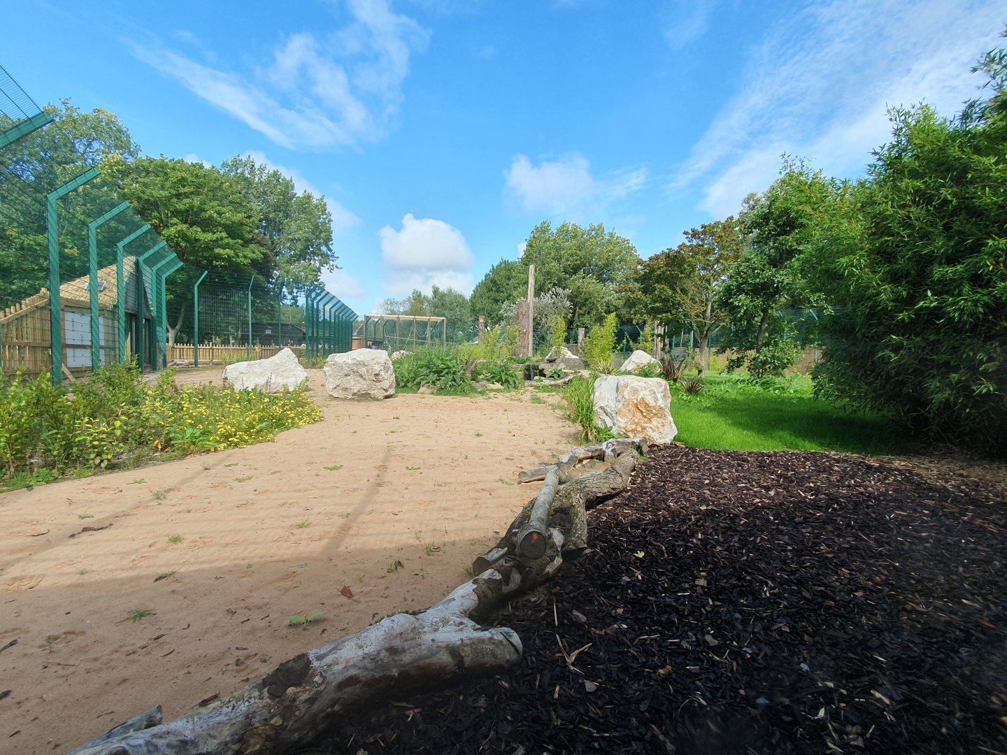 Amur Tiger enclosure 25/8/23