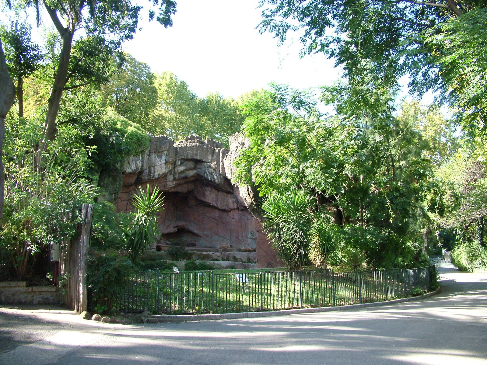 Amur Tiger enclosure at Bioparco Rome 15/10/09