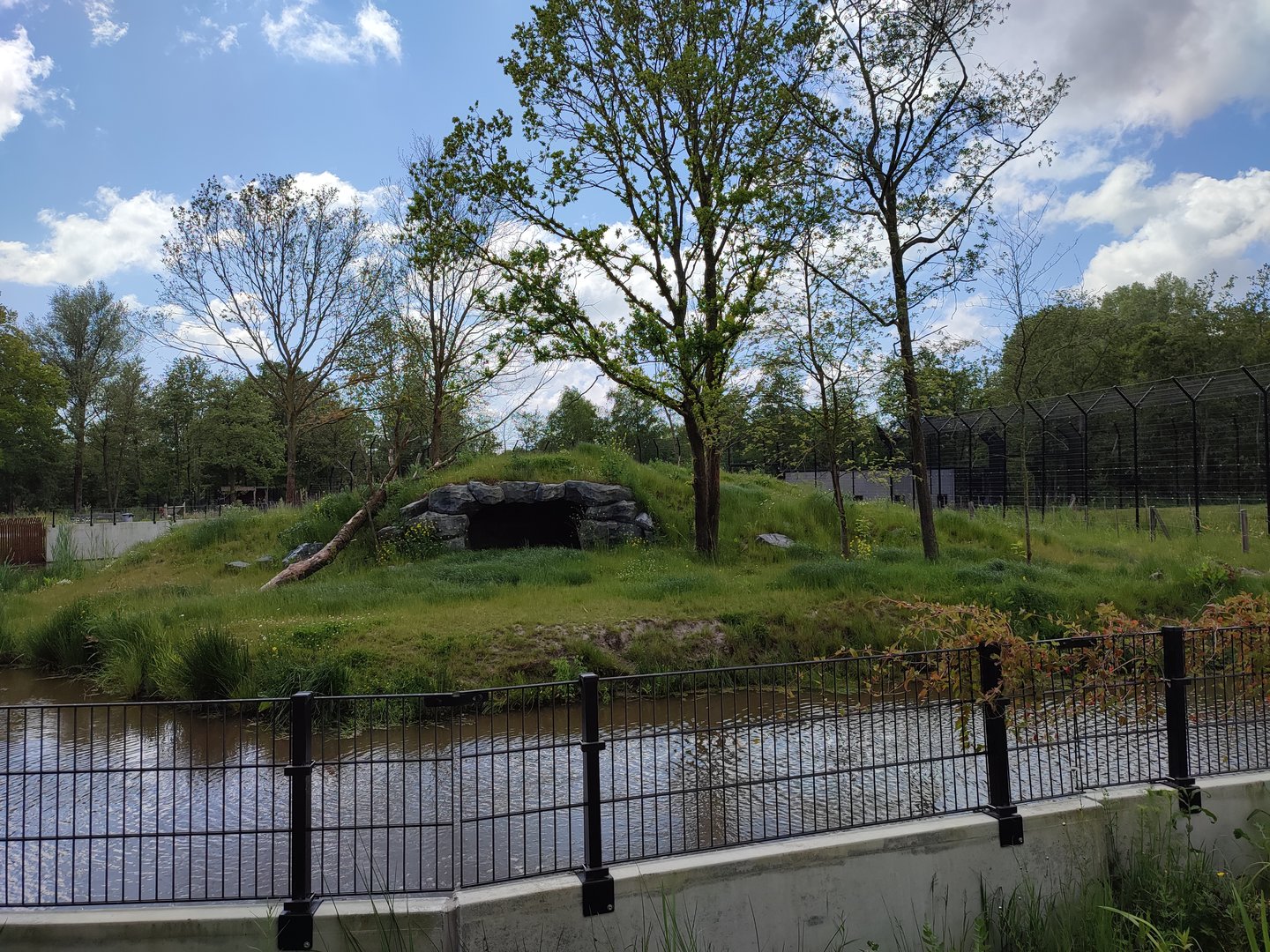 Amur tiger enclosure - first enclosure