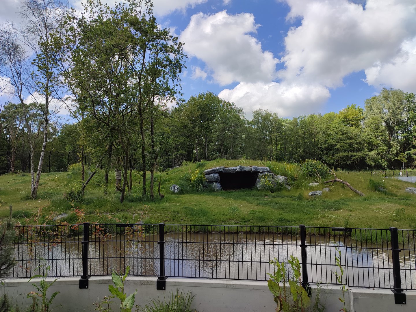 Amur tiger enclosure - second enclosure
