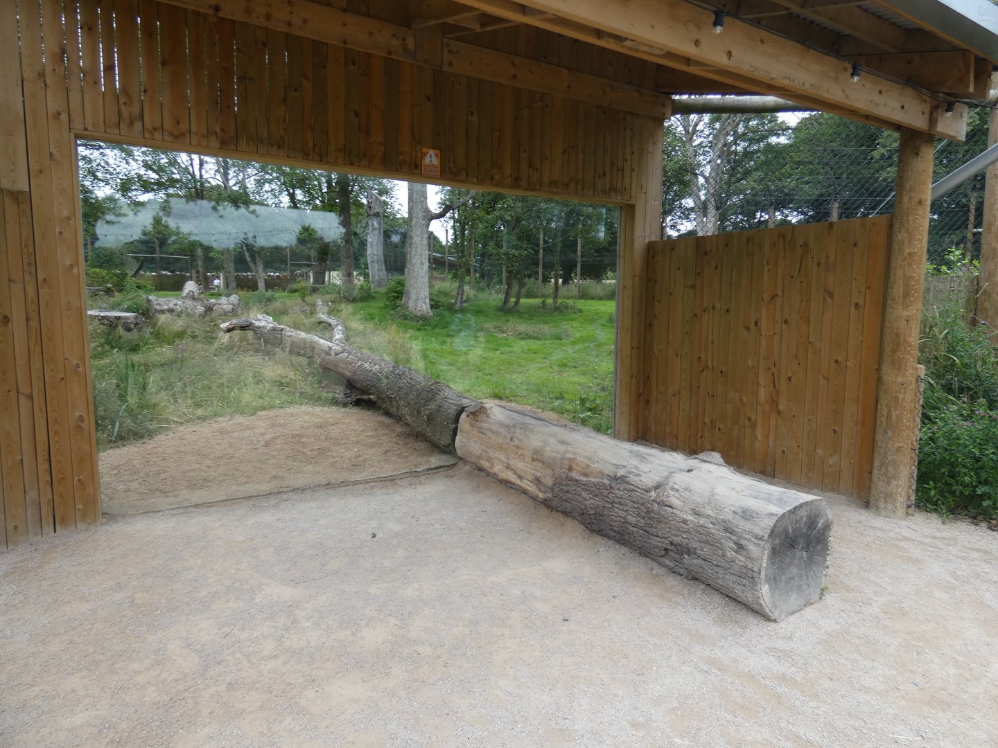 Amur Tiger enclosure viewing area (2)