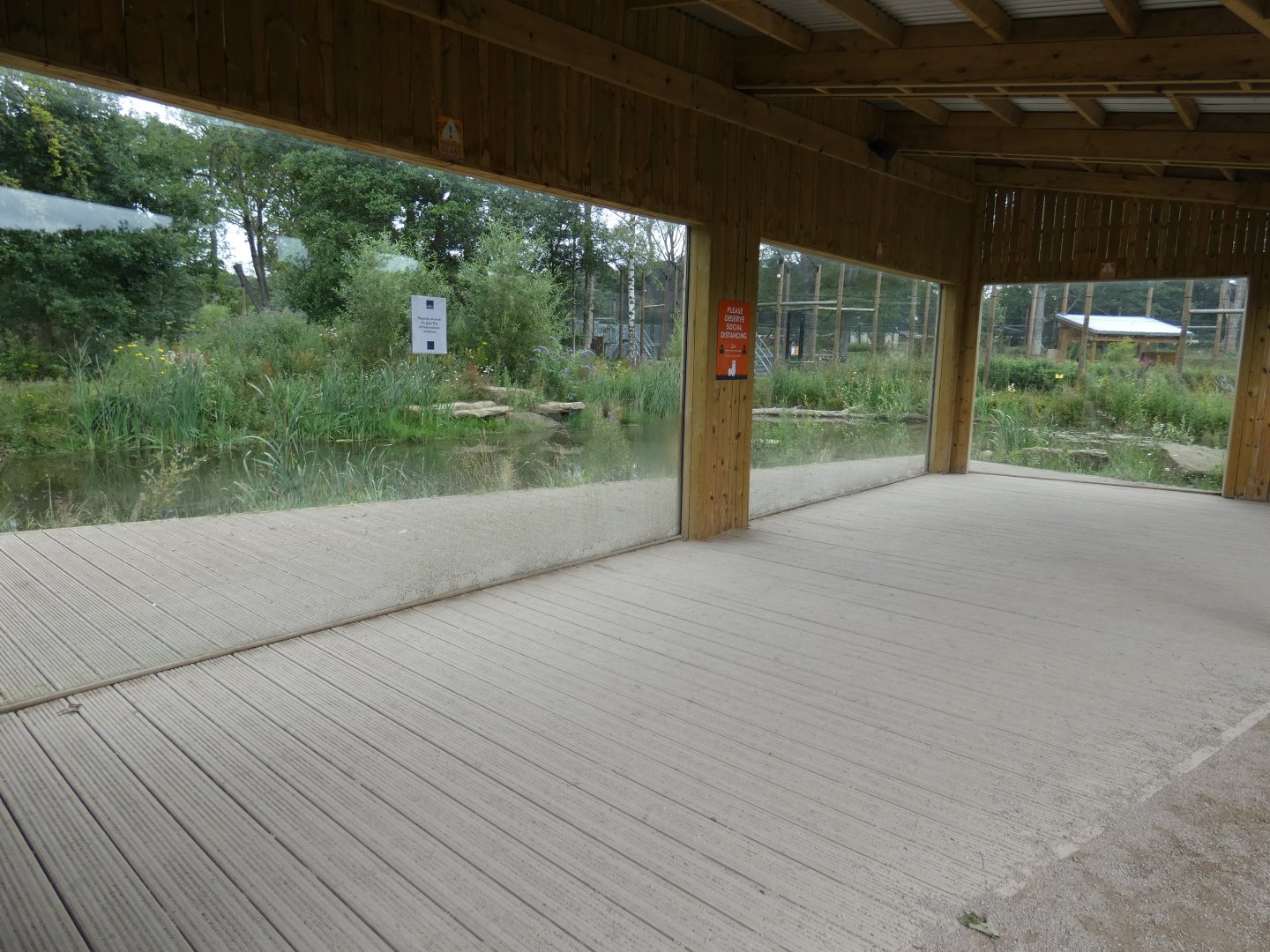 Amur Tiger enclosure viewing area