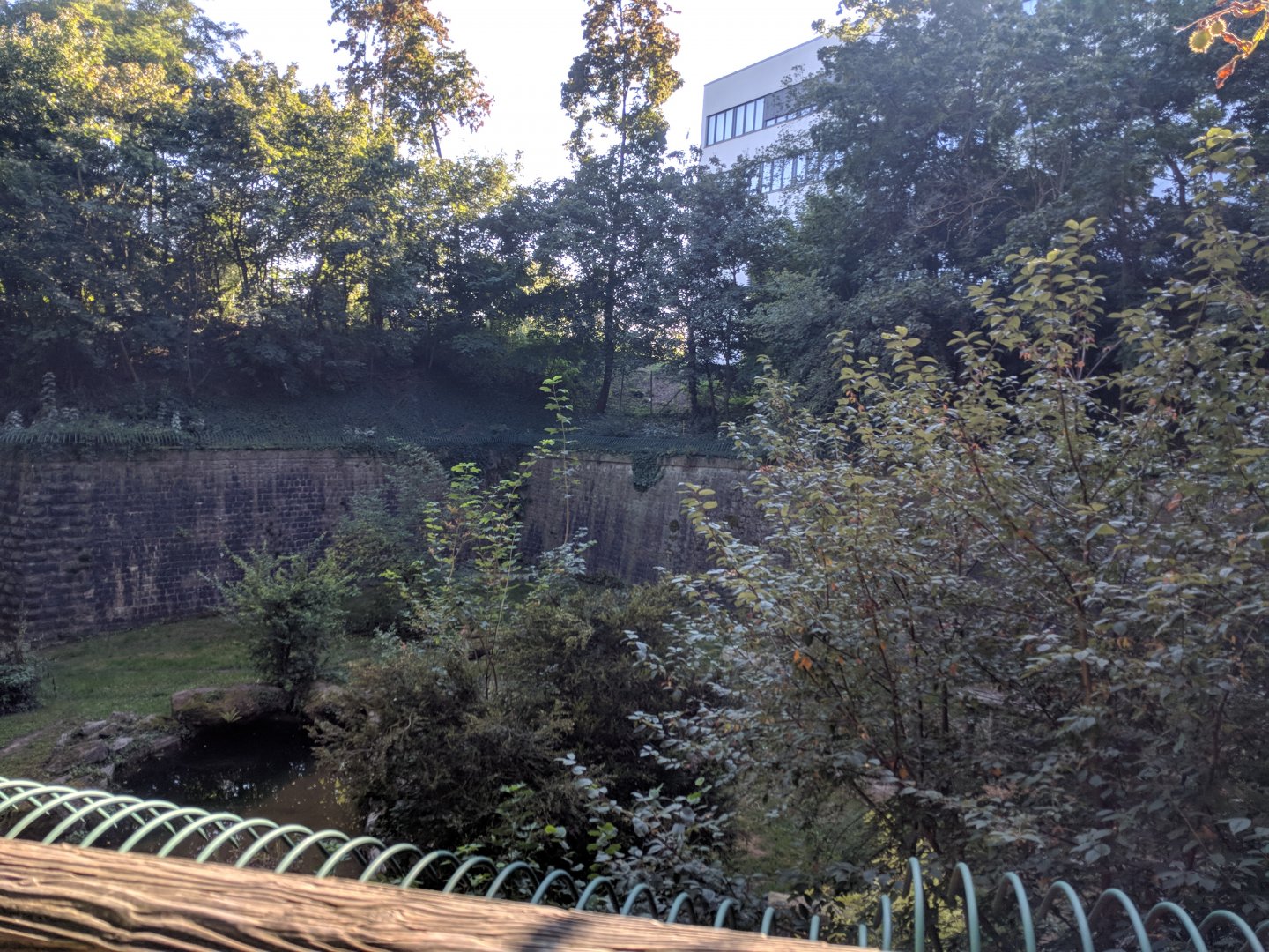 Amur Tiger Enclosure