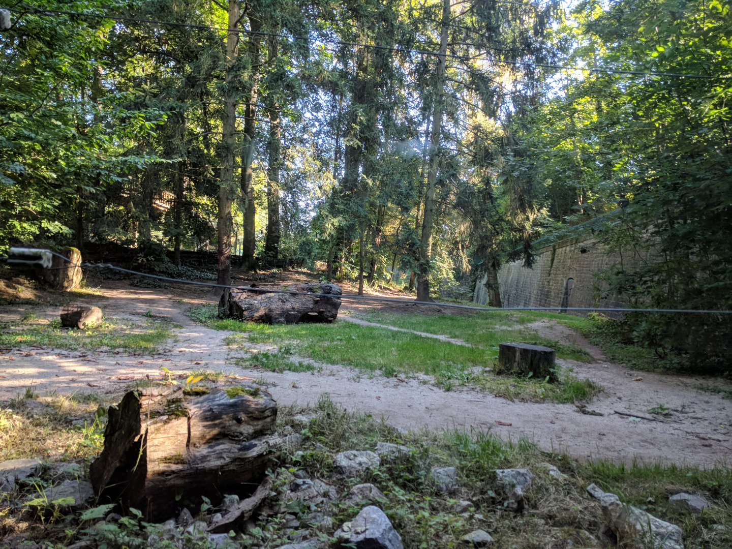 Amur Tiger Enclosure