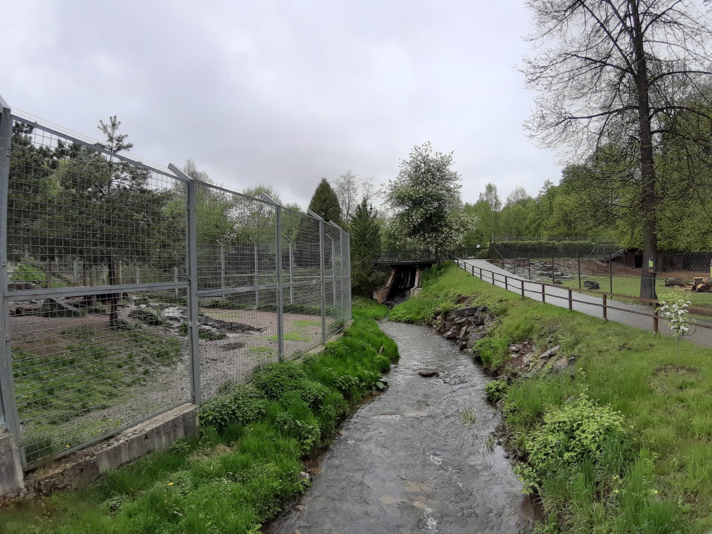 Amur tiger enclosure