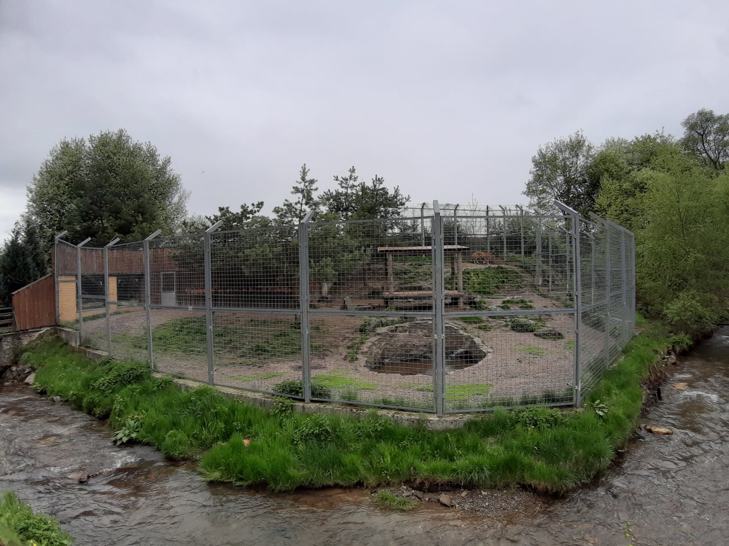 Amur tiger enclosure