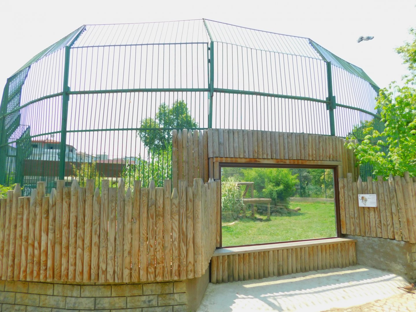 Amur tiger enclosure