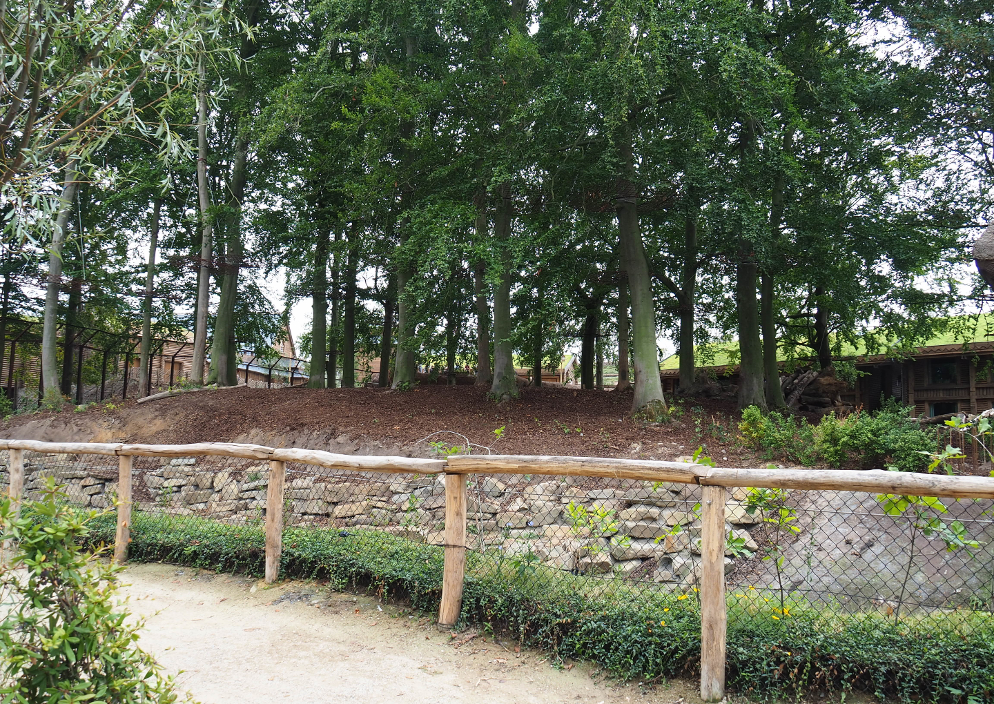 Amur tiger exhibit, 2020-09-03