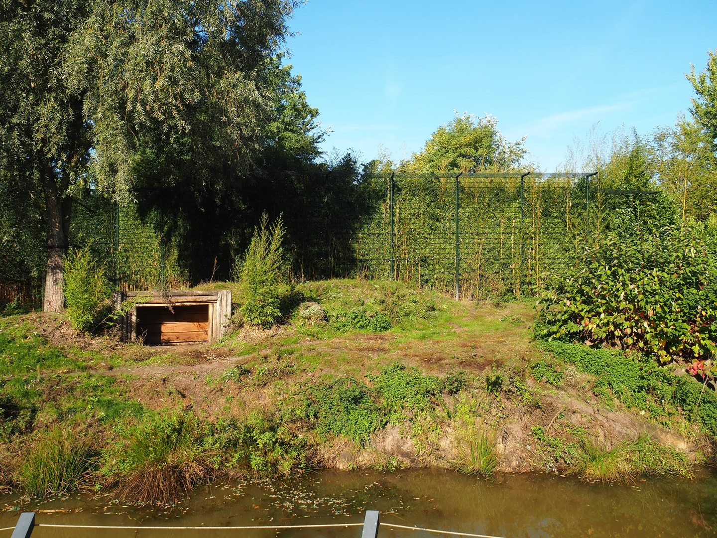 Amur tiger exhibit, 2022-10-09