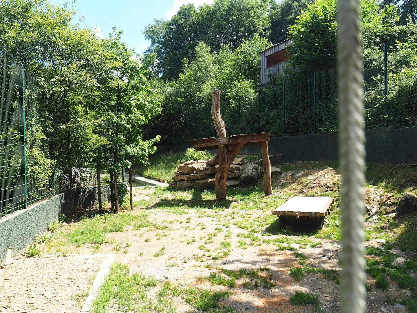Amur tiger exhibit, 2023-06-24