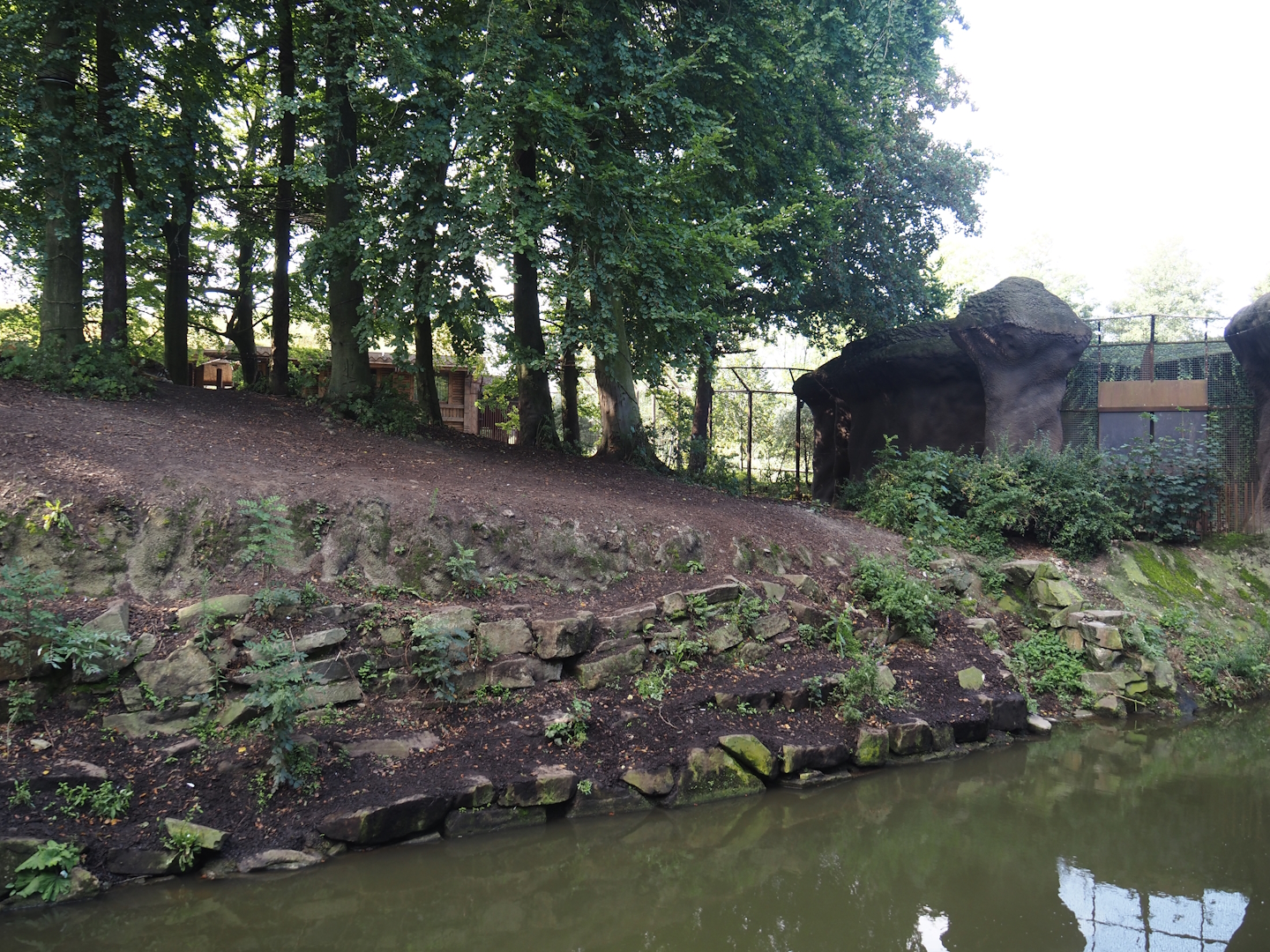 Amur tiger exhibit, 2024-09-17